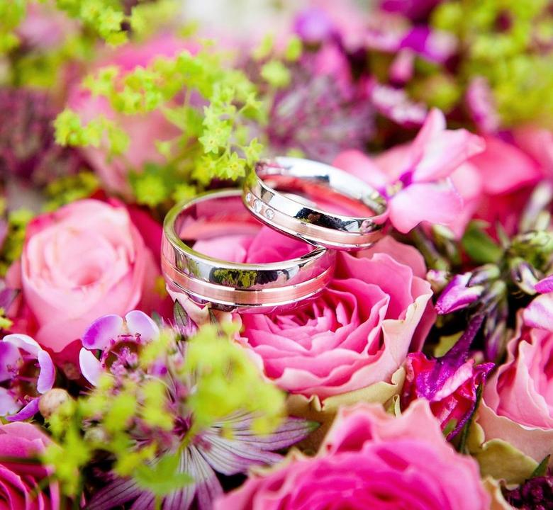 Two wedding rings on pink roses